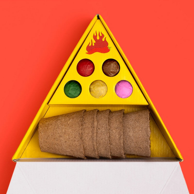 Kit Coltivazione 5 Peperoncini Piccanti 21.5x18.5x6.5cm