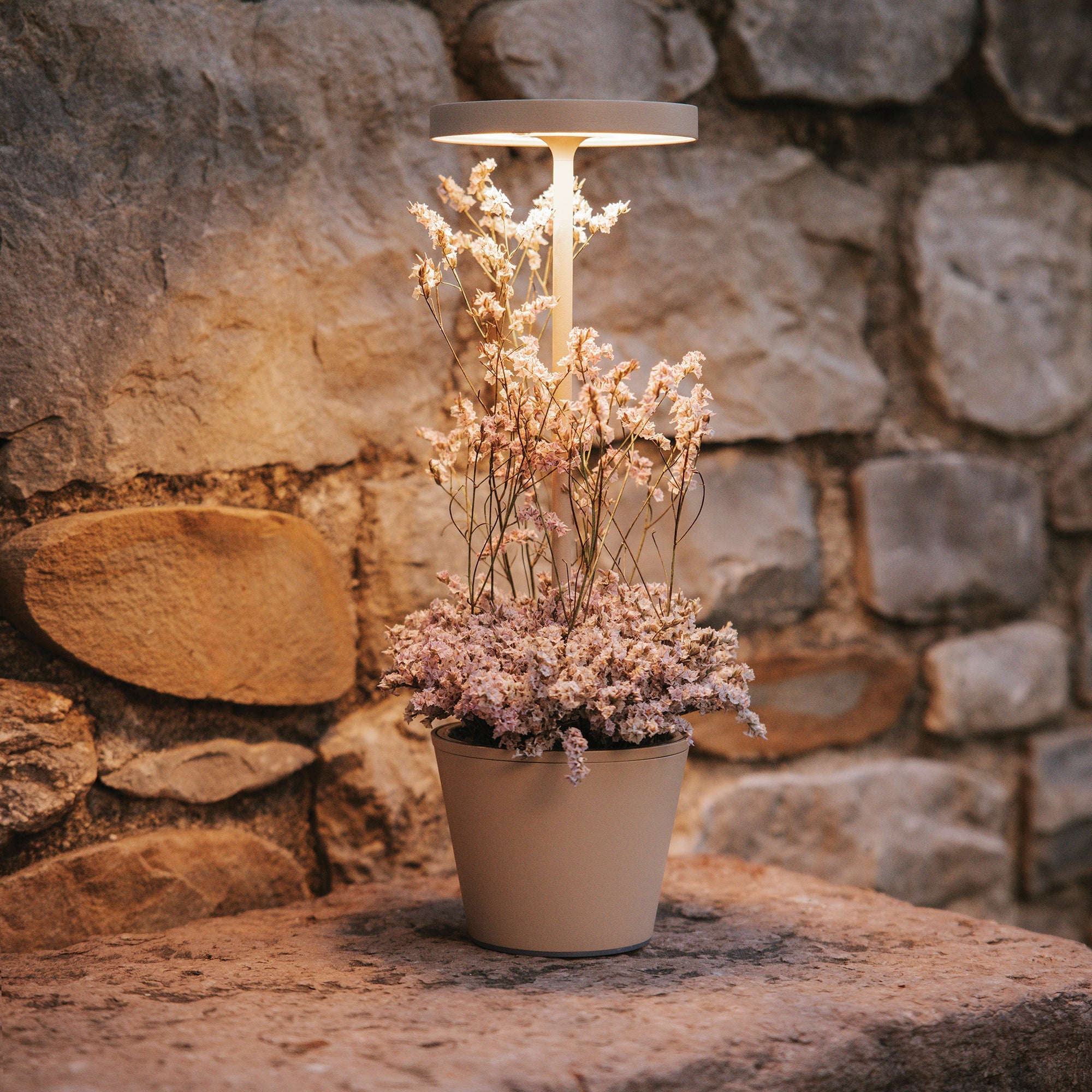 Lampada da tavolo ricaricabile Poldina Reverso con contenitore multiuso D11cm H35cm Sabbia ZAFFERANO