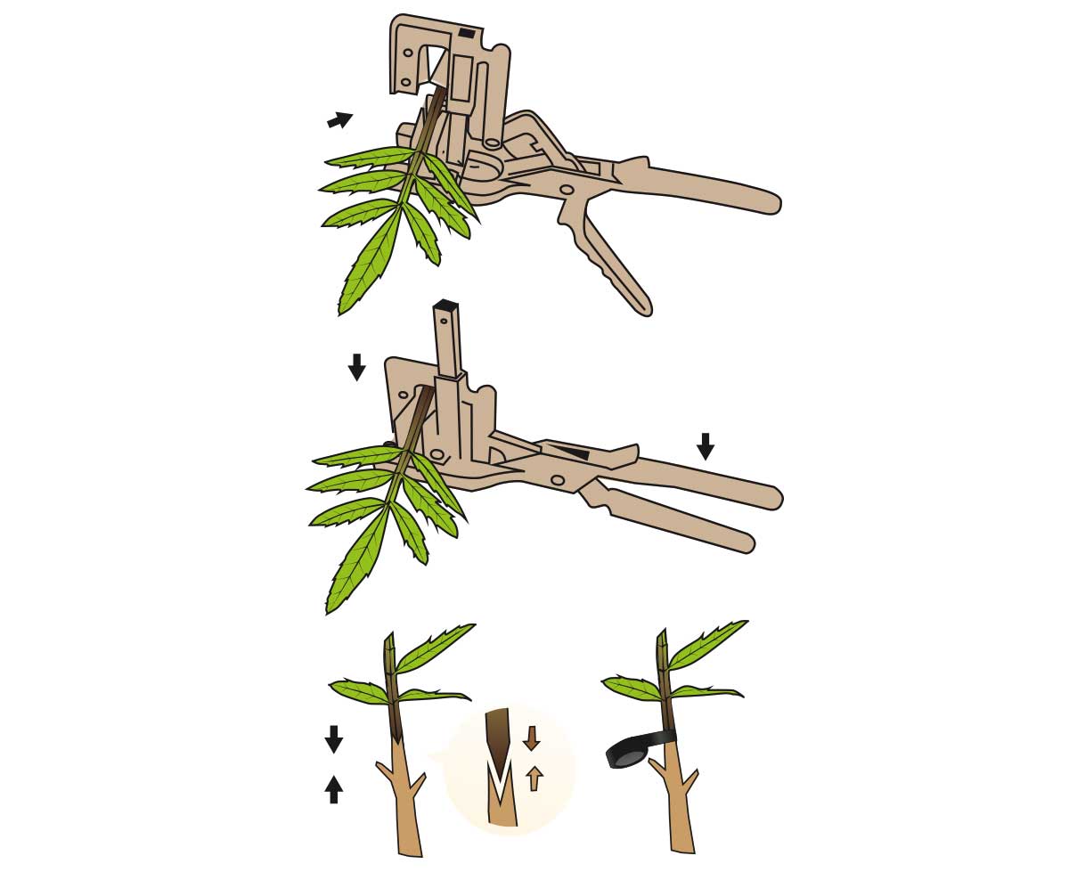 Innestatrice Manuale Top