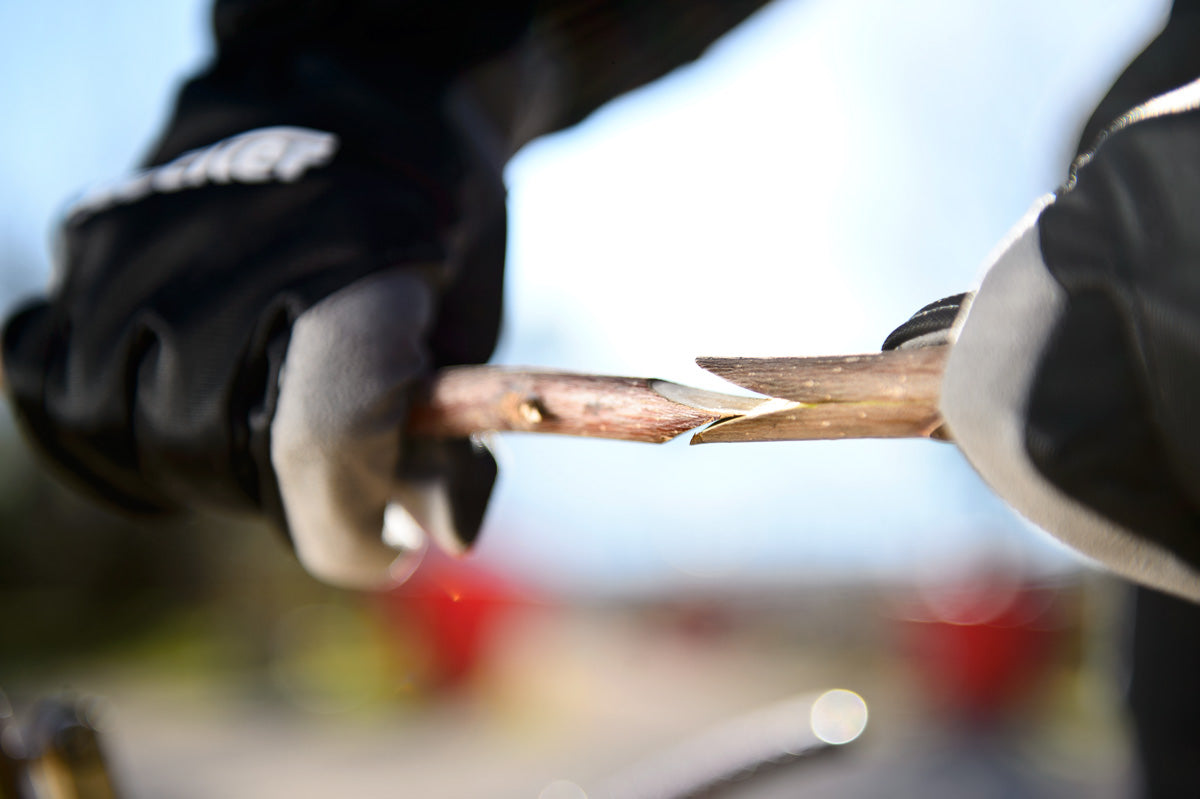 Innestatrice Manuale Top