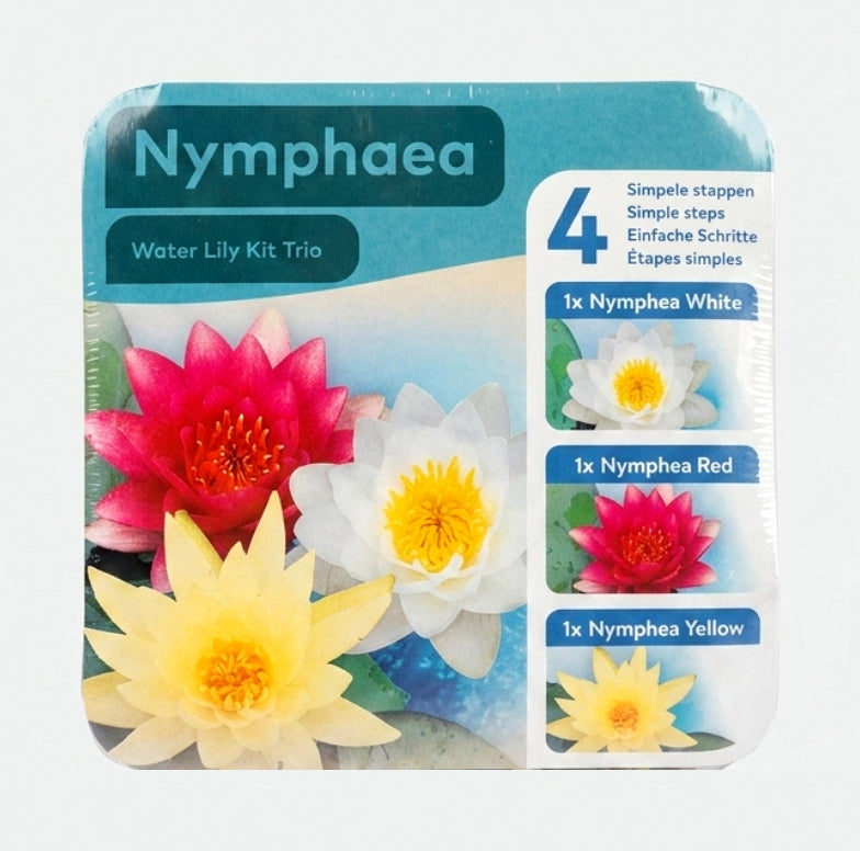 Nymphaea
