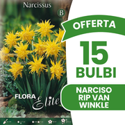 Offerta 15 Bulbi di Narciso Rip van Winkle
