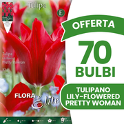 Offerta 70 Bulbi di Tulipano a Lily-Flowered Pretty Woman