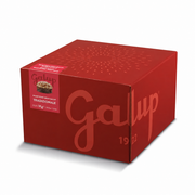 TRADITIONELLER GRAN GALUP PANETTONE 1KG HUNDERTJÄHRIGES WEISSES PACKUNGSVERPACKUNG