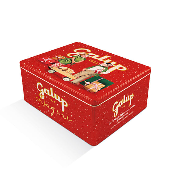 Panettone Tradizionale con Tombola Latta 1kg Galup