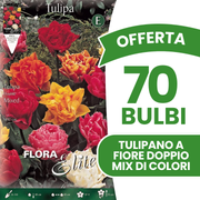 OFFERTA 70 BULBI DI TULIPANO A FIORE DOPPIO MIX DI COLORI