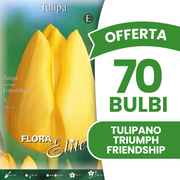 Offerta 70 Bulbi di Tulipano Triumph Friendship