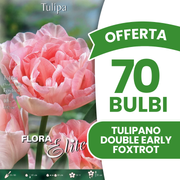 Offerta 70 Bulbi di Tulipano Double Early Foxtrot