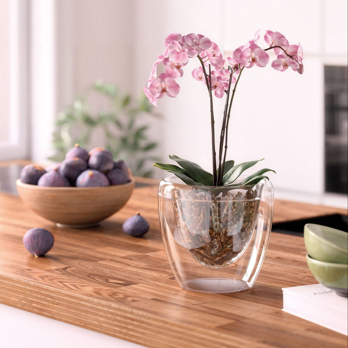 Vaso Cache-Pot Rotondo a Doppia Parete Gravity D 17x17,7 cm Trasparente VECA - immagine 2
