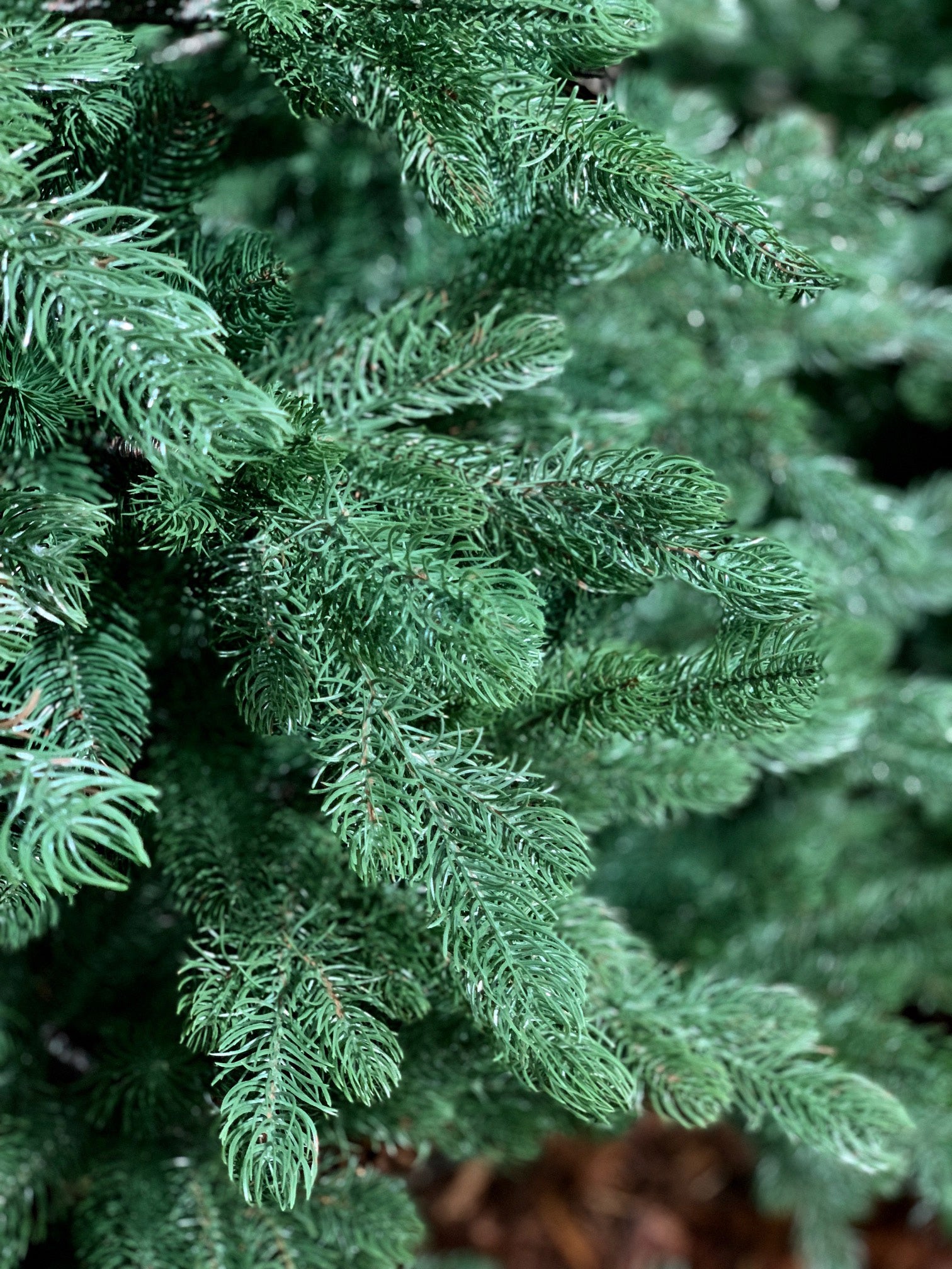 ALBERO DI NATALE 210CM SACCARELLO VERDE