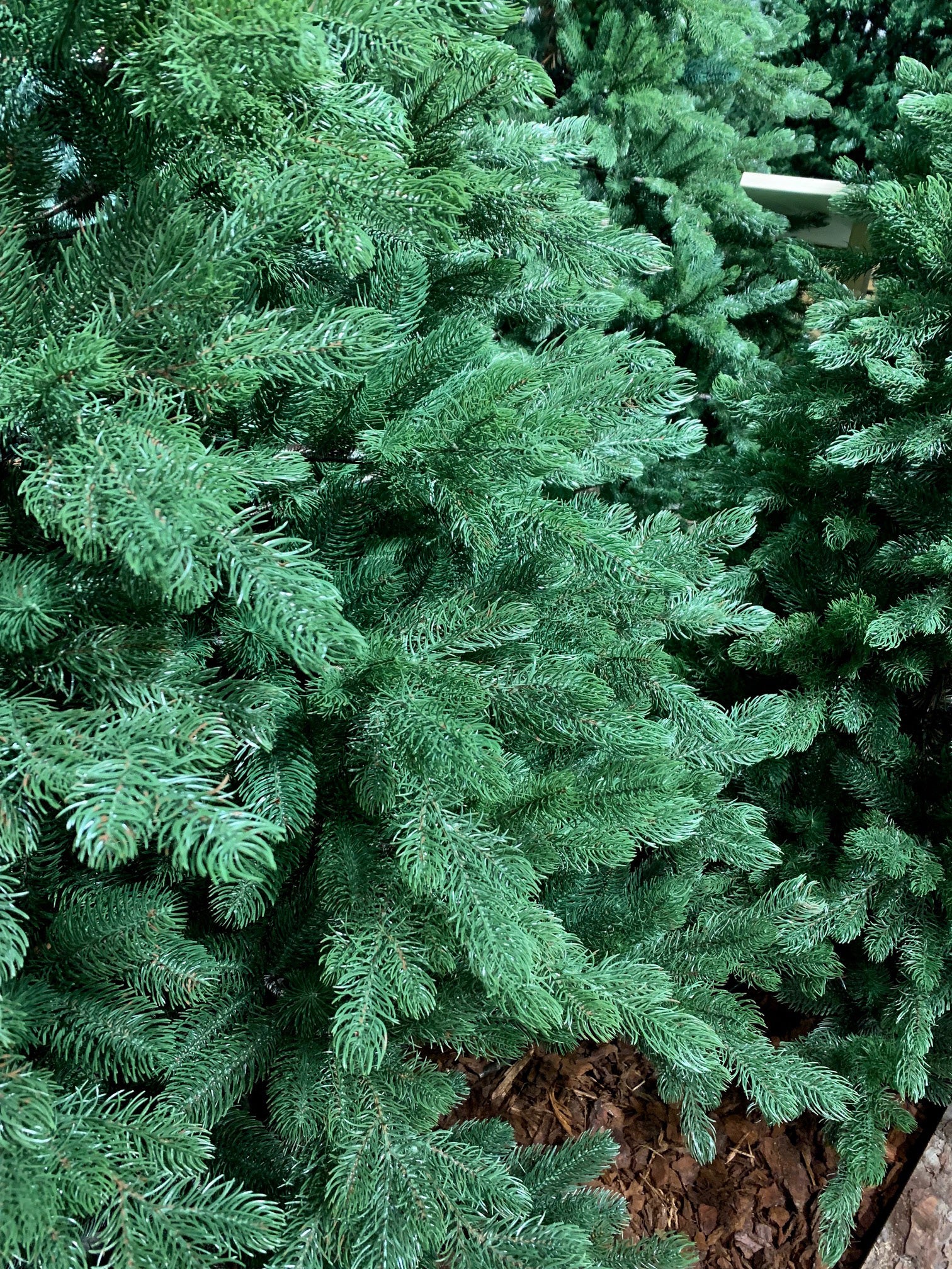 ALBERO DI NATALE 210CM SACCARELLO VERDE