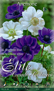 ANEMONE DE CAEN MIX BLU E WHITE (CONFEZIONE DA 30 BULBI)