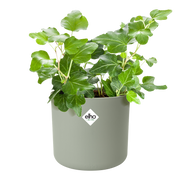 Vaso B.FOR SOFT ROUND D 16 x H 15 cm Verde Pietra ELHO