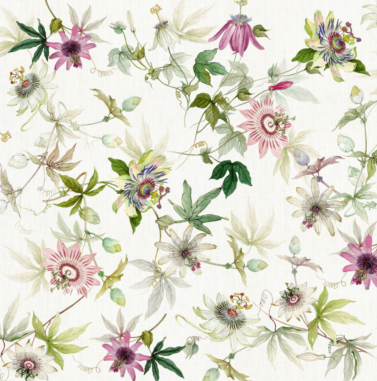 GRANADILLA TOVAGLIA DI LINO 140X170