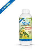 BOOSTER FRUTTI 1KG