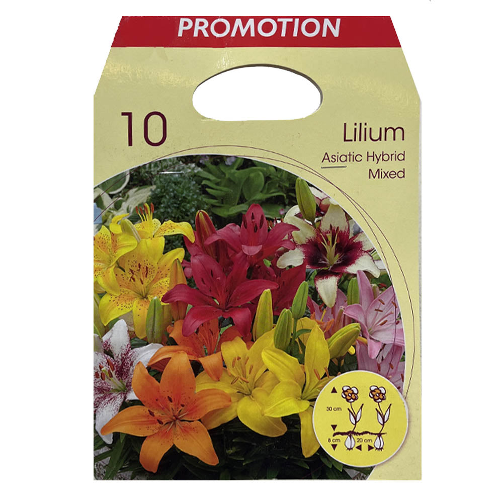 BULBI DI LILIUM ASIATIC HYBRID MIXED FOR POTS (CONFEZIONE DA 10 BULBI)