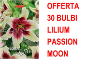 OFFERTA 30 BULBI LILIUM ORIENTAL PASSION MOON