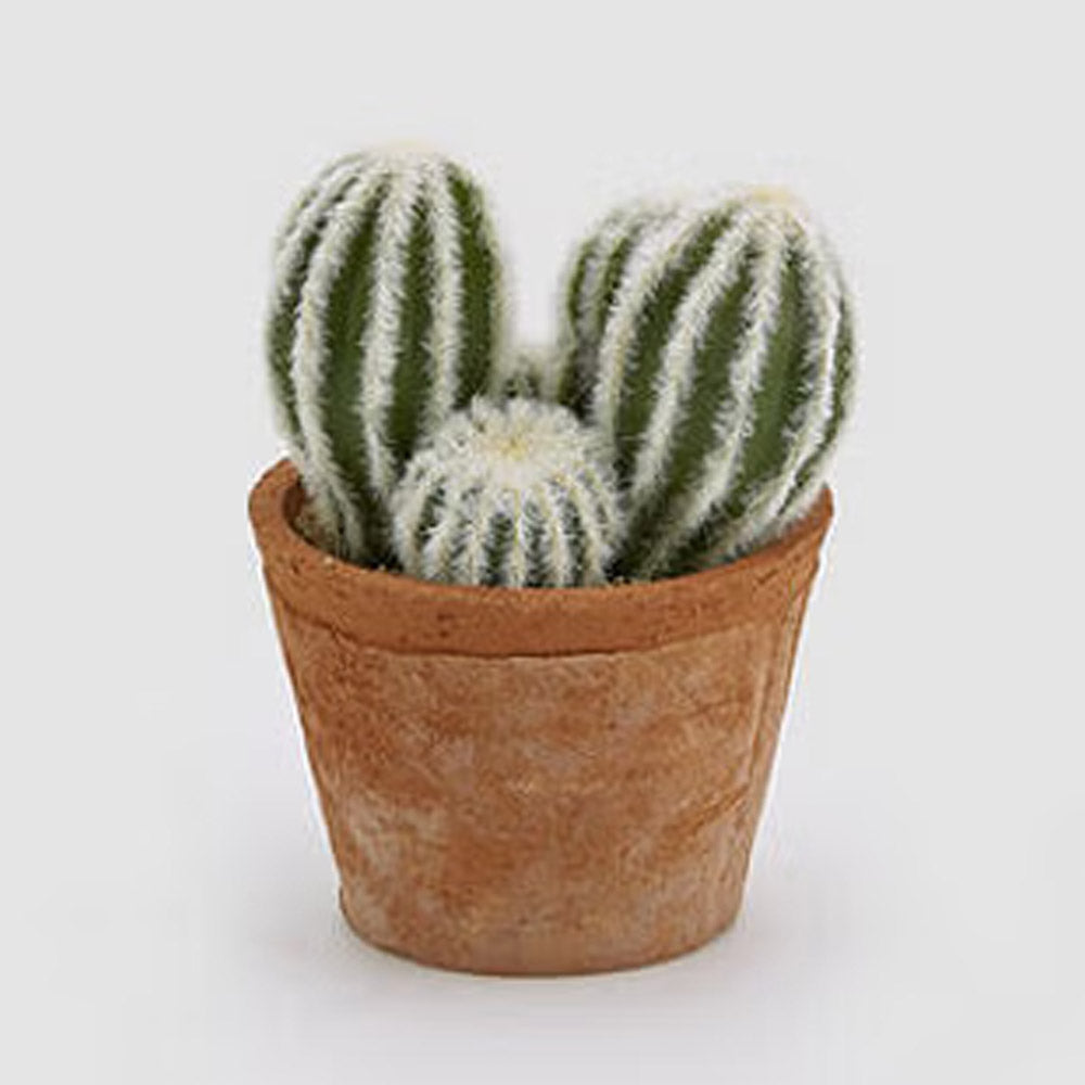 CACTUS MIX ARTIFICIALE CON VASO H19CM