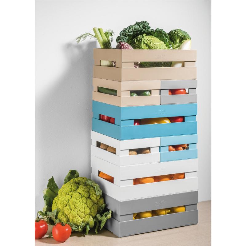 CASSETTE PICCOLE S TIDY E STORE COLORE A SCELTA