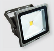 PROIETTORE SPOT OUTDOOR LED 20W 250V NATURAL LIGHT