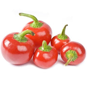 3 PIANTE IN VASO Ø10CM DI PEPERONE CHERRY SMALL TONDO