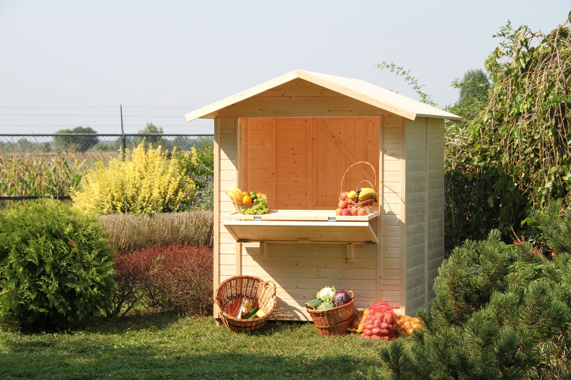 CHIOSCO 1718 IN ABETE GREZZO NON TRATTATO 170X175 CM