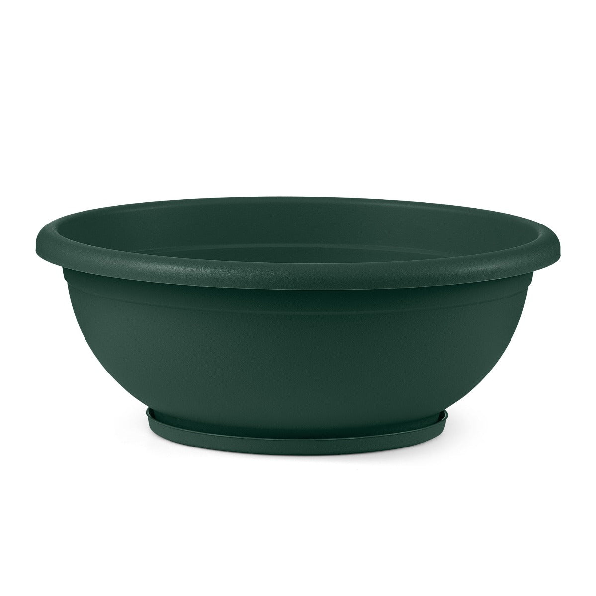 CIOTOLA NAXOS D.50 CM CON SOTTOVASO VERDE BOSCO