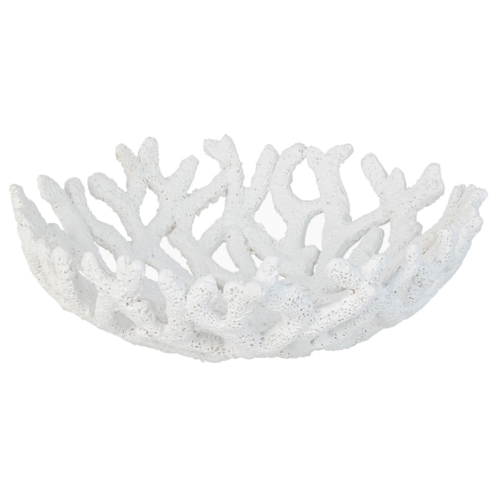 CIOTOLA CORALLO BIANCO 23CM