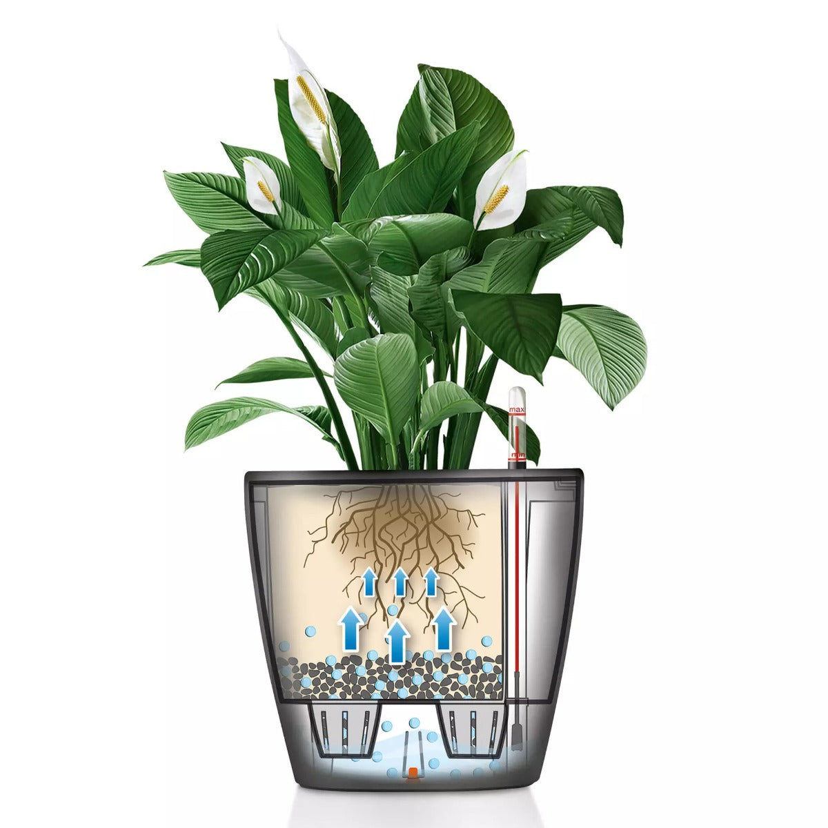 VASO CLASSICO PREMIUM LS 28CM BIANCO LUCIDO