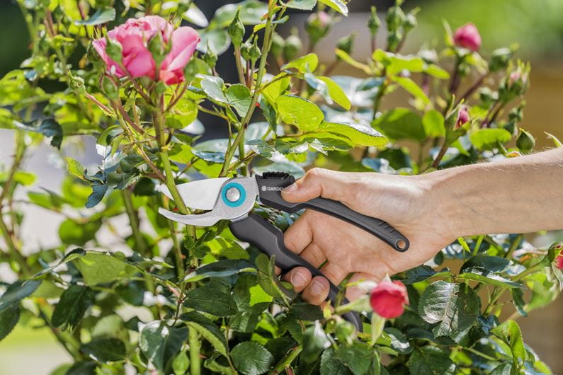 FORBICI DA GIARDINO ECOLINE