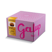 PANETTONE GALUP AI MARRONS GLACÉS 1KG