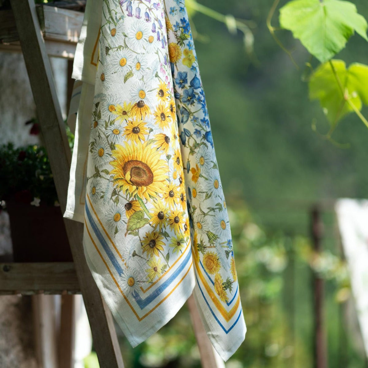 SUNGARDEN CANOVACCIO DA CUCINA DI LINO GIRASOLI