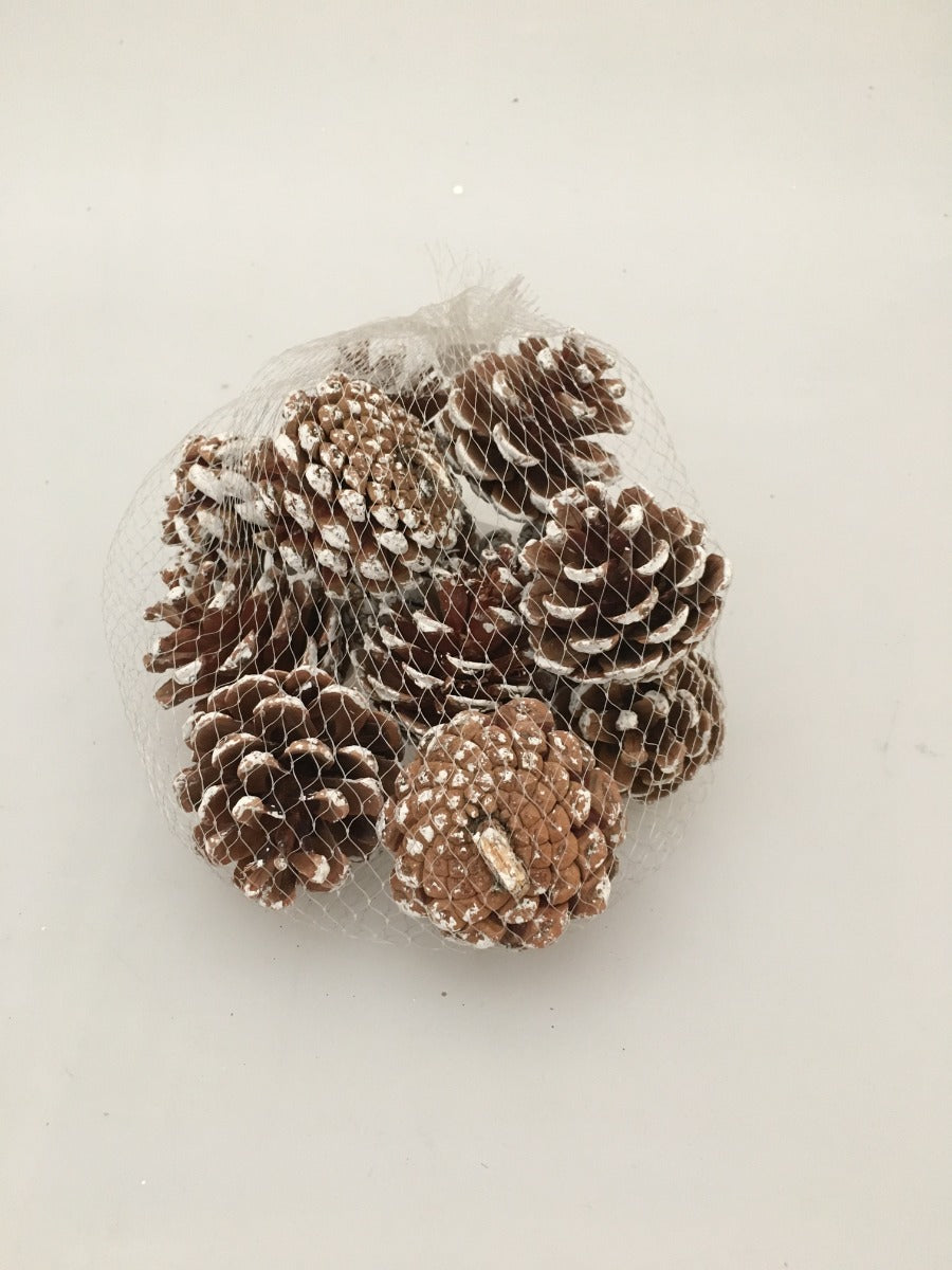 PIGNE ASSORTITE INNEVATE 100-150GR