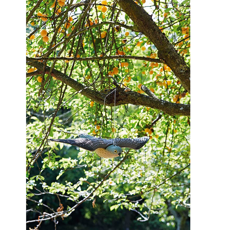 SPAVENTAPASSERI FALCO 54CM