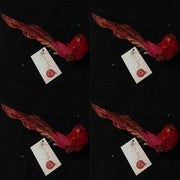 OFFERTA 4 UCCELLINI APPENDIBILI CON CLIP 17CM ROSSO