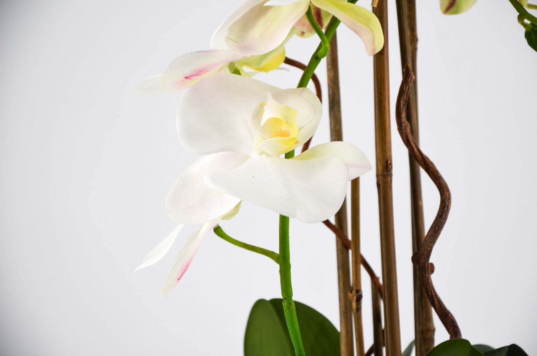 Klocke Orchidea Artificiale In Vaso 55 Cm – Pianta Finta Realistica Con Fiori Bianchi, Perfetta Per Decorare Casa
