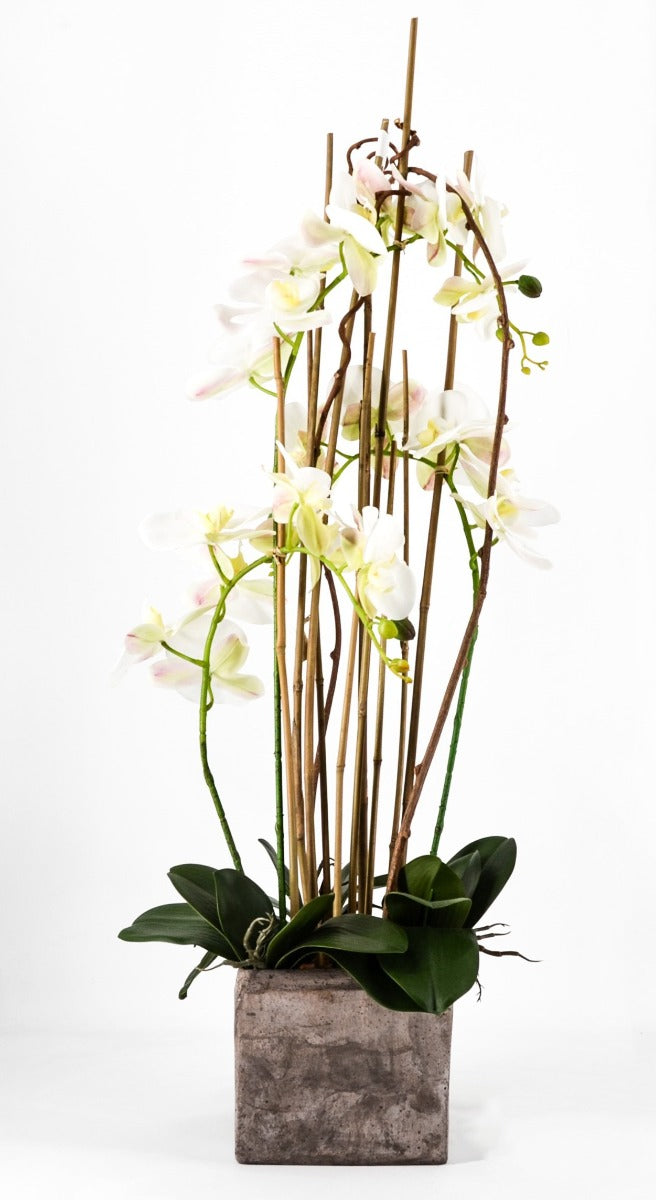 PHALAENOPSIS ORCHIDEA ARTIFICIALE 90CM CON VASO QUADRATO BIANCA