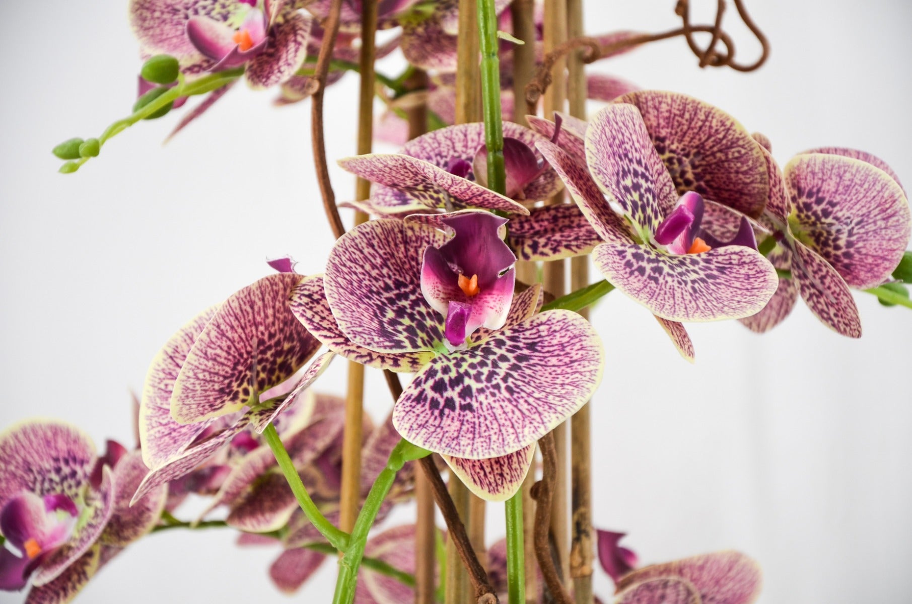 PHALAENOPSIS ORCHIDEA ARTIFICIALE 100CM CON VASO OVALE ROSA