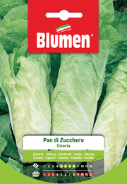 SEMI DI CICORIA PAN DI ZUCCHERO
