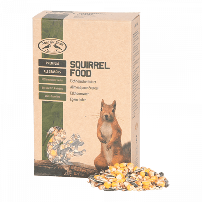 CIBO PER SCOIATTOLO 500GR