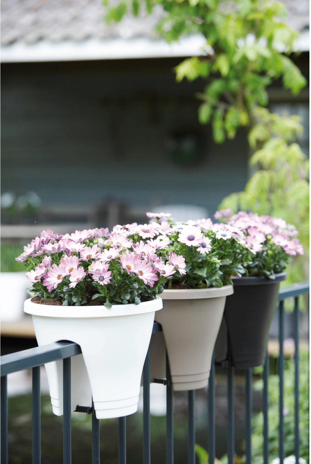 BALCONETTA VASO LOFT URBAN FLOWER BRIDGE 30CM COLORE A SCELTA