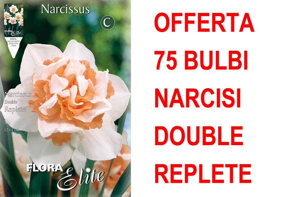 OFFERTA 75 BULBI NARCISO REPLETE
