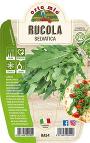 RUCOLA SELVATICA IN VASO 14CM