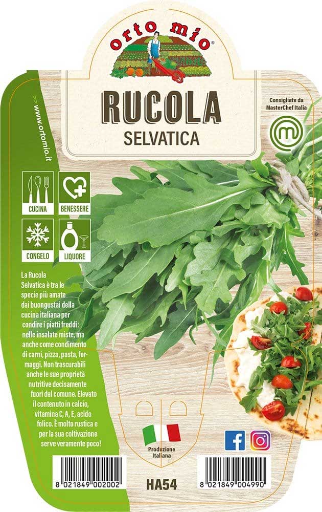 RUCOLA SELVATICA IN VASO 14CM