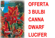 OFFERTA 3 BULBI CANNA DWARF LUCIFER