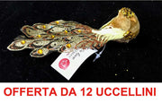 OFFERTA 12 UCCELLINI APPENDIBILI CON CLIP 17CM ORO