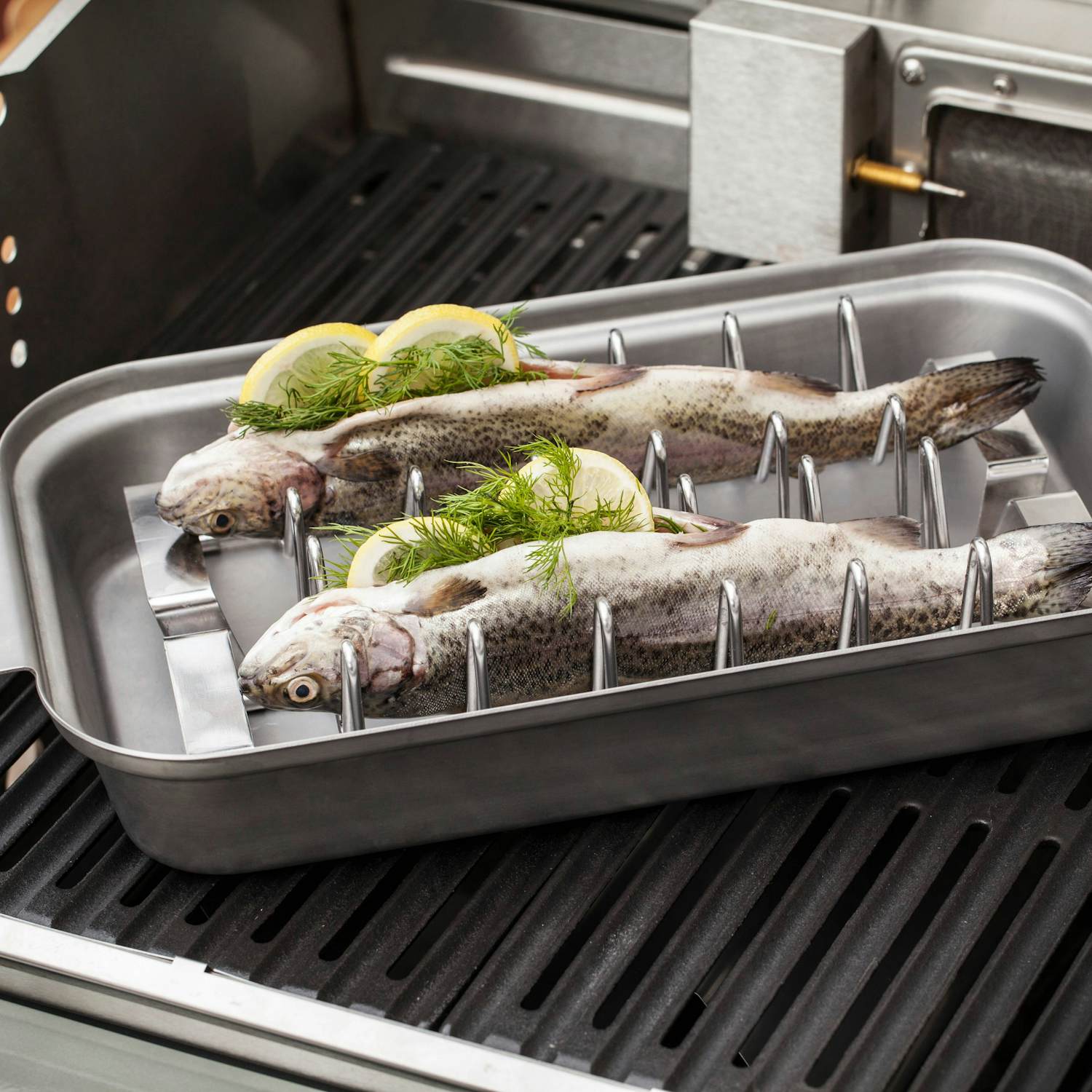 Supporto per Cottura Pesce e Costolette Acciaio Inox