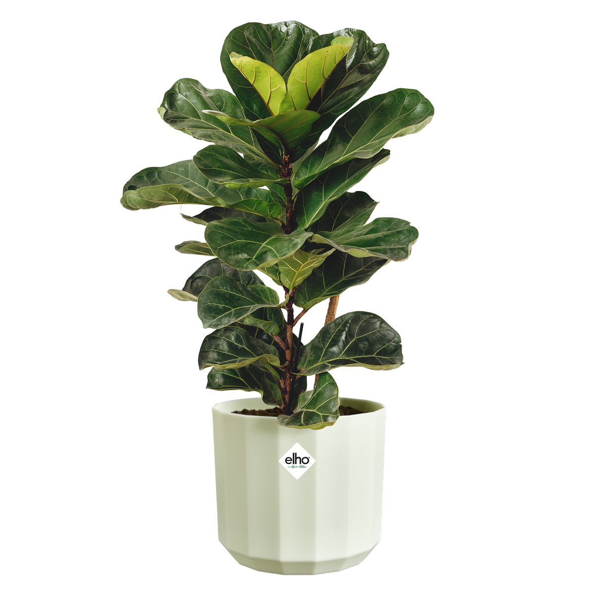 Vaso Facet Round D 19 x H 17 cm Verde Té ELHO
