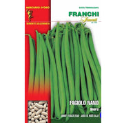 SEMI FAGIOLO NANO LINERA GR.250