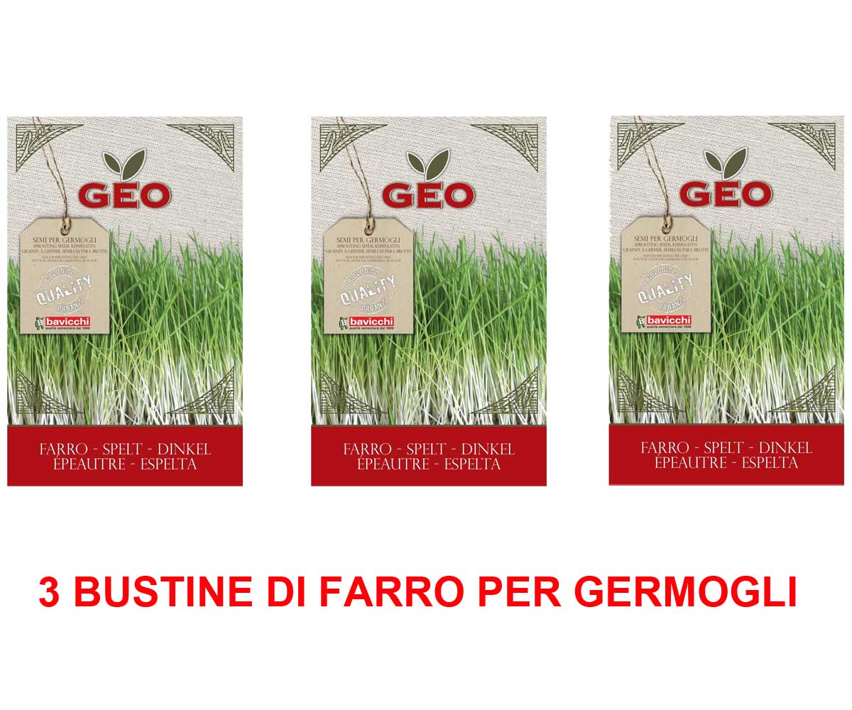 3 CONFEZIONI DI SEMI BIO DI FARRO PER GERMOGLI 80GR